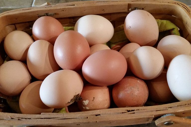 Na een relatief rustig begin van de week zagen sommige eierhandelaren de stemming afgelopen woensdag plots omslaan. Foto: Canva