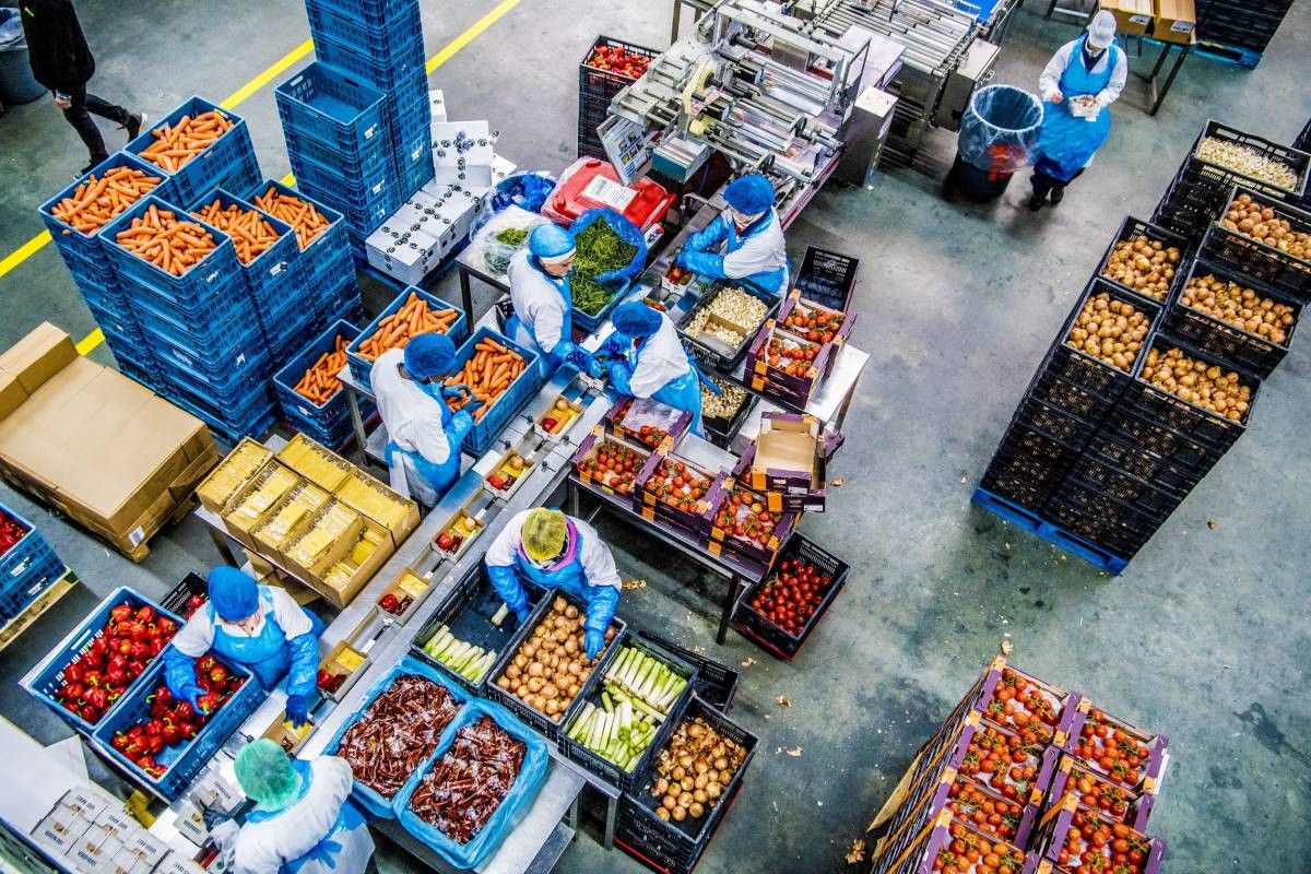 Greenyard, moederbedrijf van Bakker Barendrecht, wil meer en meer klanten zoals Albert Heijn beleveren, vanuit exclusieve en geïntegreerde samenwerking. - Foto: ANP/Robin Utrecht