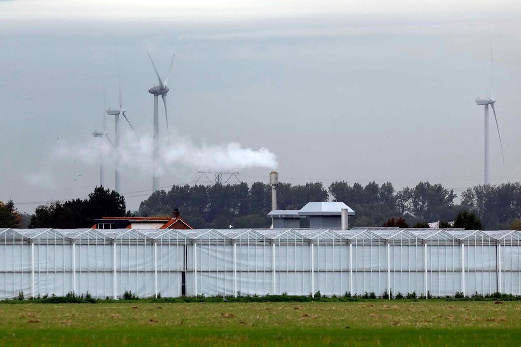 Goedkeuring Europese Commisie steunregeling glastuinbouw via borgstellingsregeling komt laat. Foto: Roel Dijkstra.