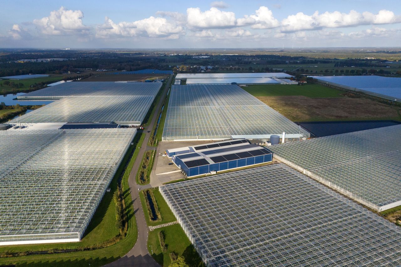 Glastuinbouw onder de loep in kritisch rapport van ambtenaren. Foto: Bert JansenBert Jansen