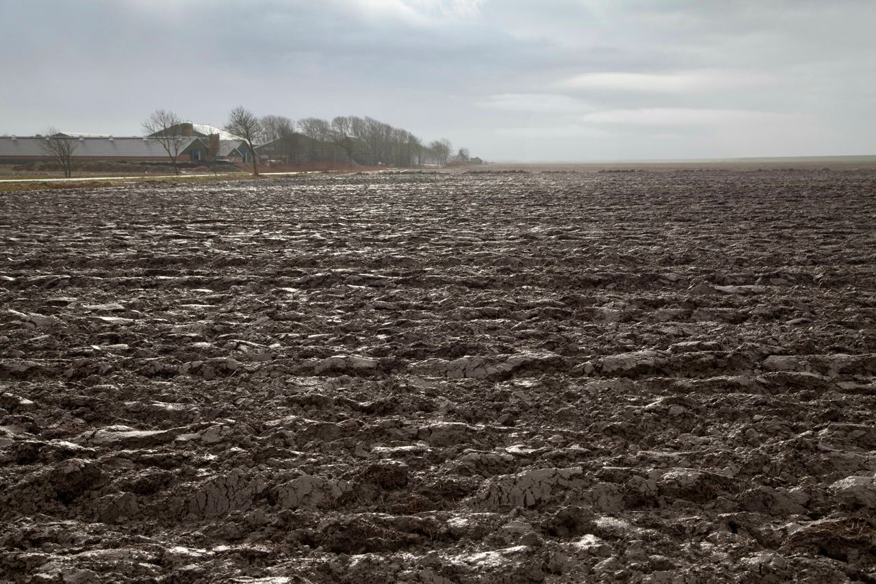 Foto: Jan Willem Schouten