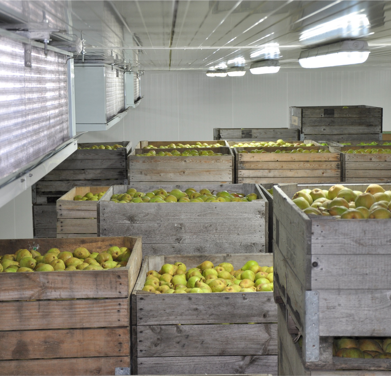 EZ wist niet van problemen tuinbouw bij stroomstoring