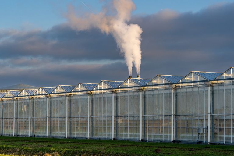 Er lopen nu verschillende gesprekken tussen glastuinbouw en ministeries over mogelijke deelname aan ETS2 en een compensatie van de extra lasten voor de bedrijven.  Foto: ANP