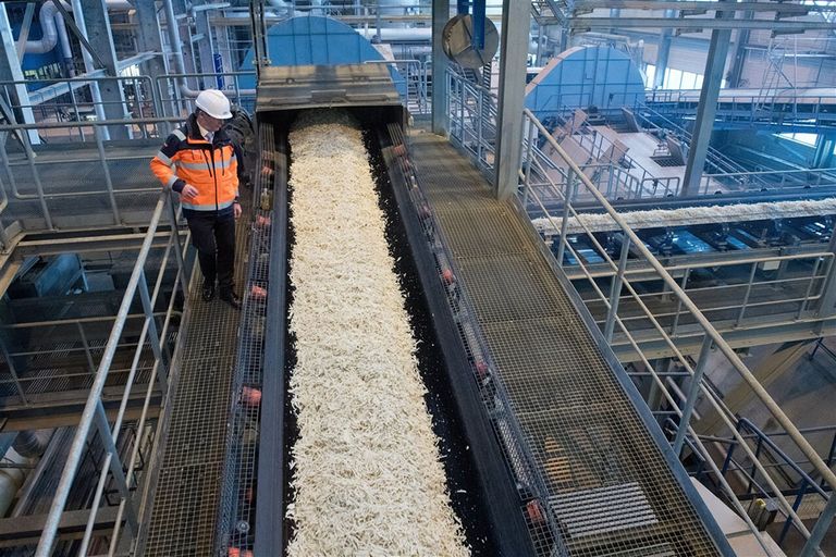 Verwerken van bietenpulp in een suikerfabriek. - Foto: ANP