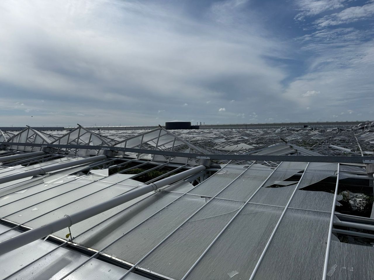 De kas uit 2015 is voor het samengaan met Combivliet gebouwd door Agro Care. Foto: Agro Care.