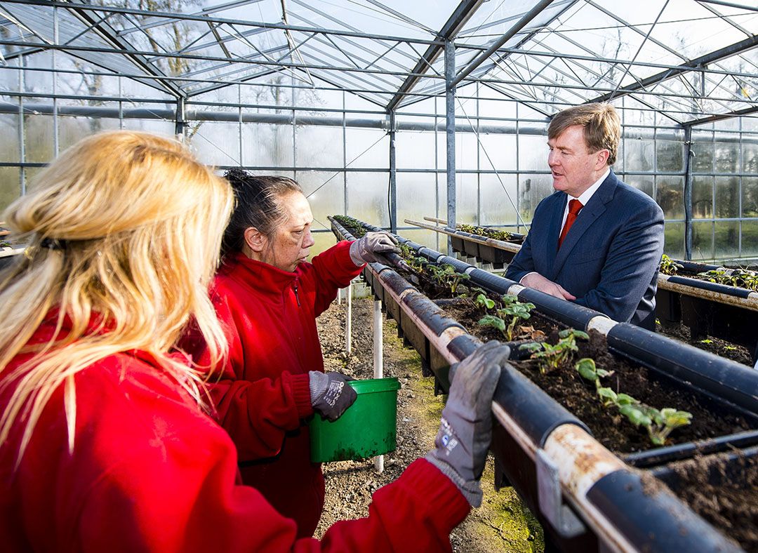 Archiefbeeld van koning Willem-Alexander op werkbezoek bij sociaal werk in de kas.  - Foto: ANP