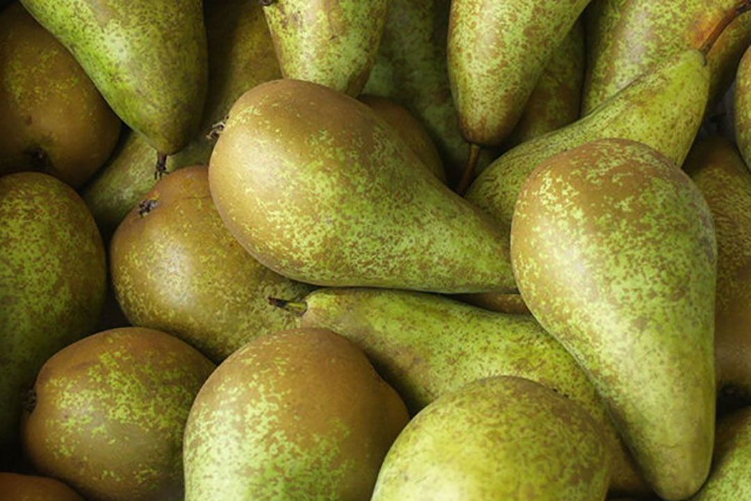 Perenprijzen nog niet gezet op EU-markt. Foto: Misset.