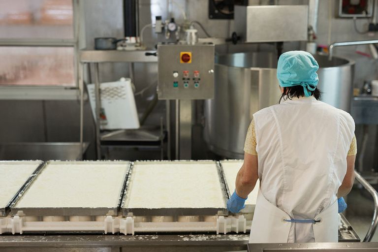 Productie van kaas in een fabriek. Beeld ter illustratie.  - Foto: Canva