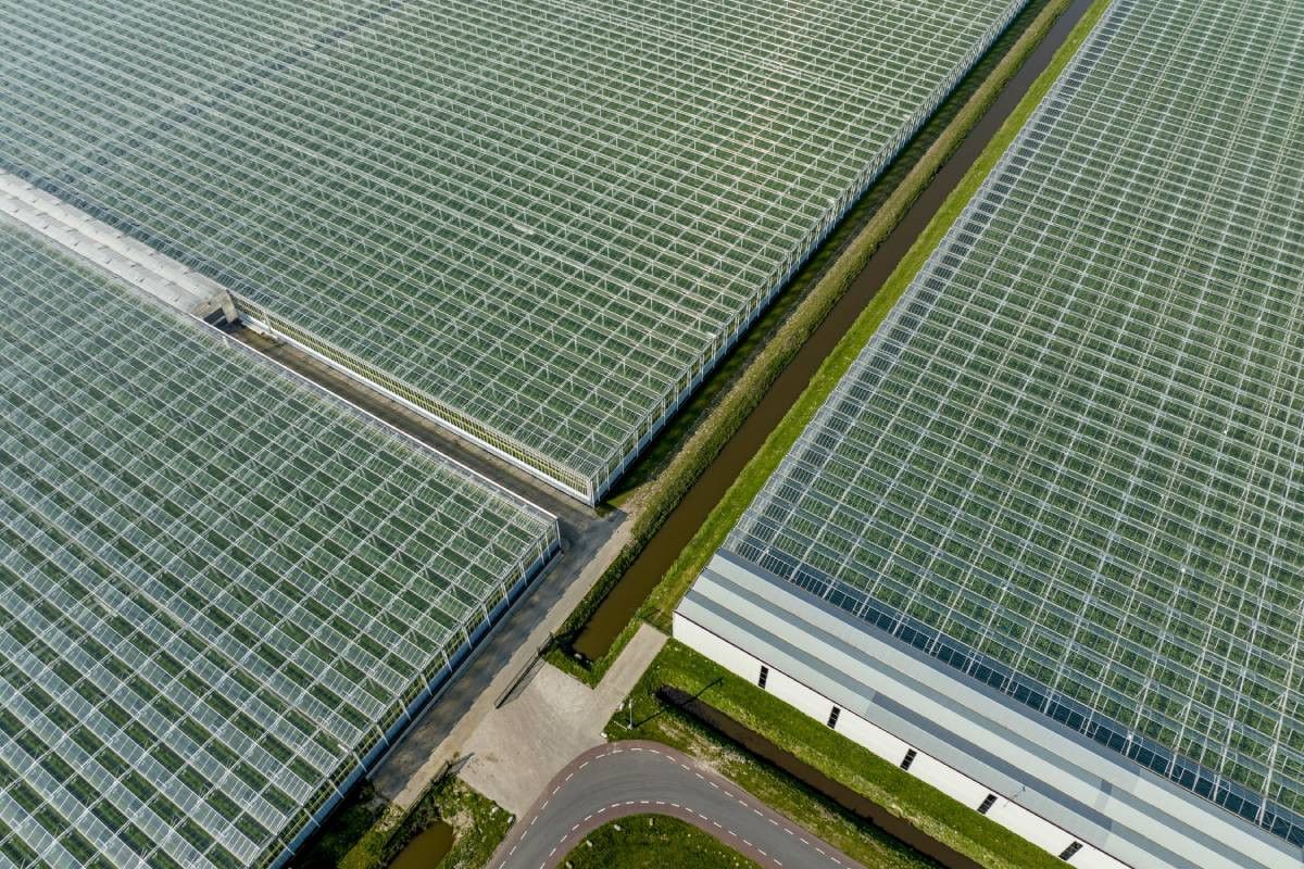 Omdat in de afgelopen jaren weinig nieuwe kassen zijn gebouwd, blijven bestaande, moderne en duurzame bedrijven in de belangstelling staan. - Foto: ANP/Hollandse Hoogte/Robin Utrecht