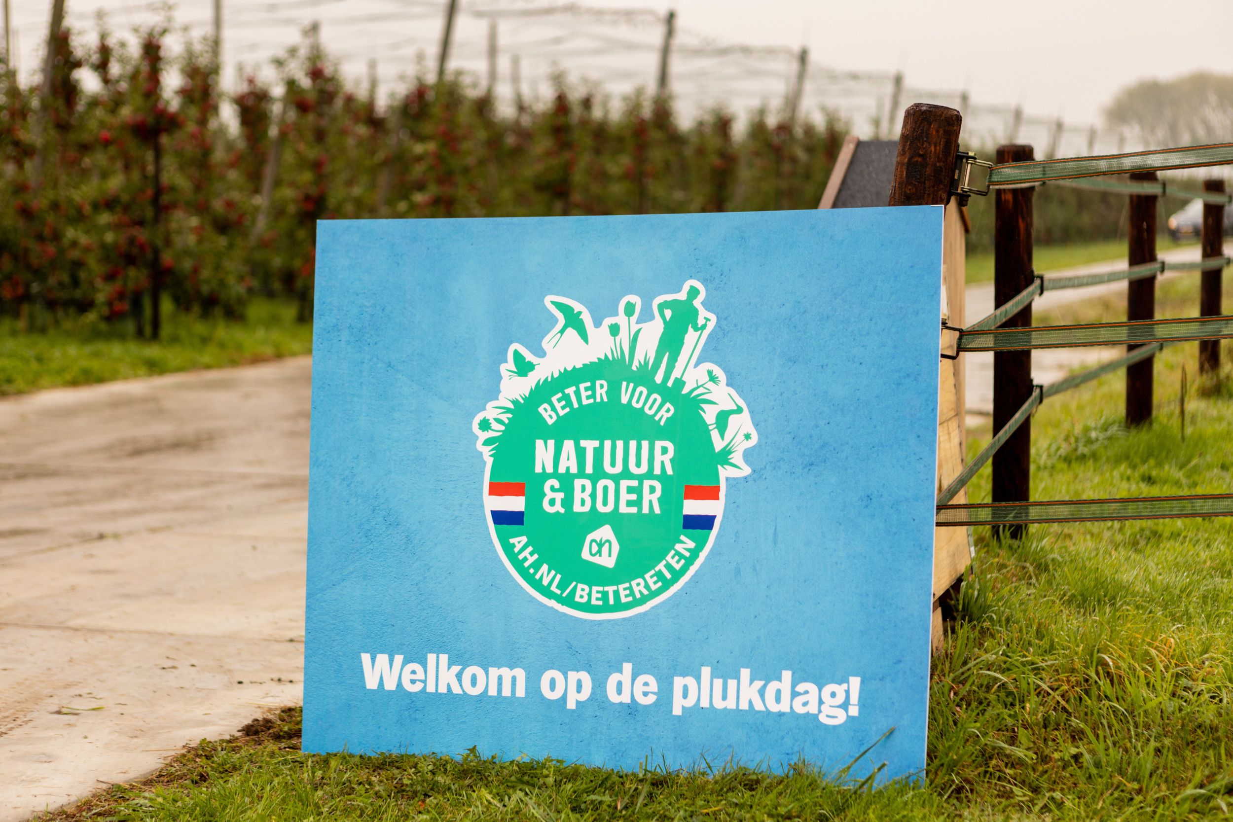 De relatie tussen telers en supermarkten is inniger, zoals op deze plukdagen voor AH. Foto: AH