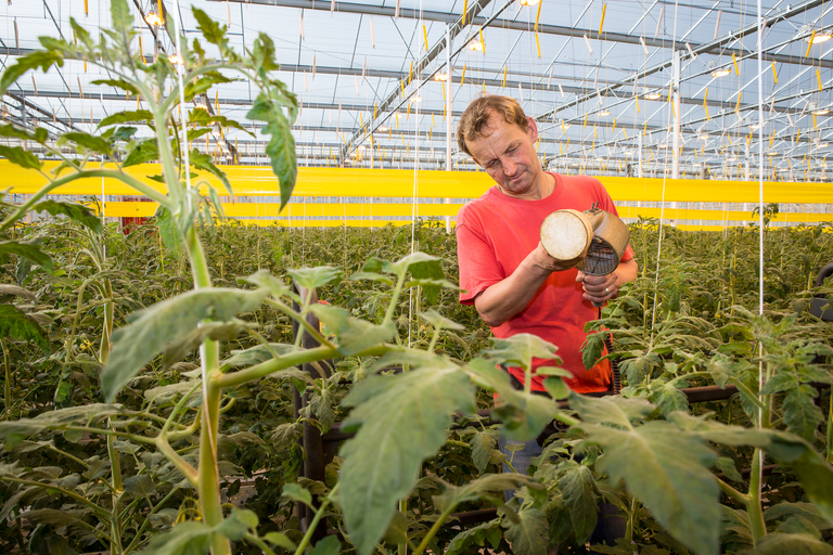 Brede steun Kamer voor meer biologische middelen - Foto: Peter Roek