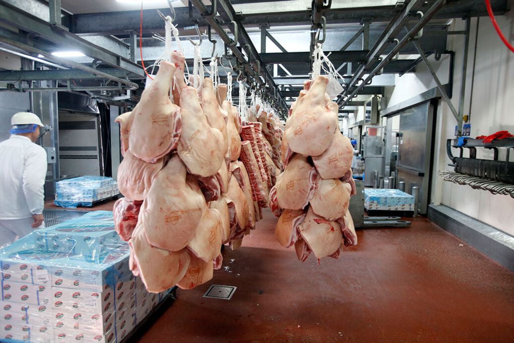 De export van varkensvlees naar landen buiten de EU is ook afgenomen. - Foto: Bert Jansen
