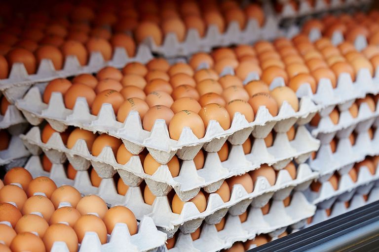 Eieren blijven een zorgenkind, met name door de steeds hogere productiekosten. Groupe Avril probeert zijn eierbedrijf Matines, de grootste van Frankrijk, al enige tijd te verkopen. Foto: Canva