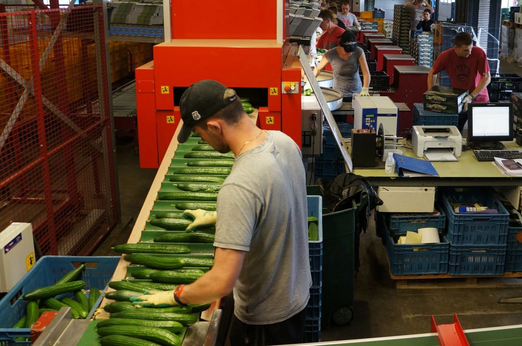 Instorting komkommerprijs voorlopig afgewend