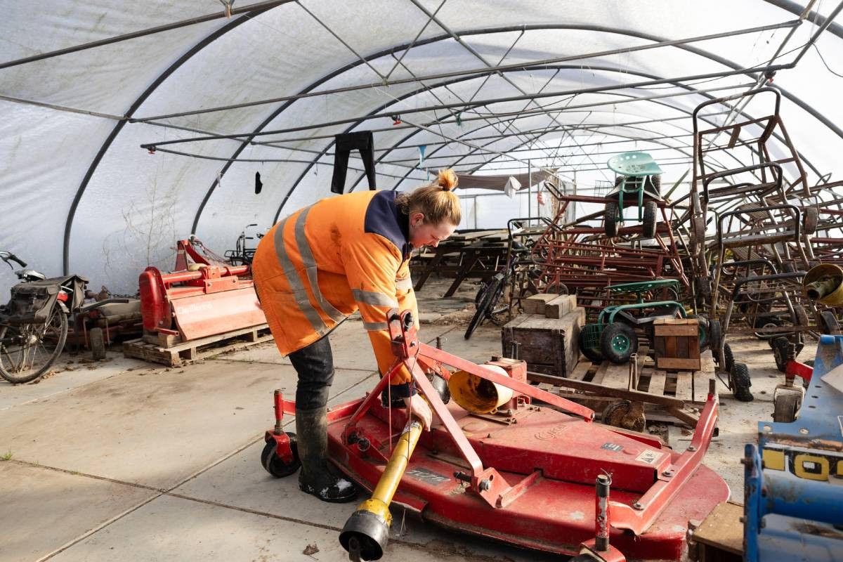 Willemien Brouwer combineert machinale onkruidbestrijding altijd met het handmatige verwijderen van het onkruid. – Foto: Herbert Wiggerman