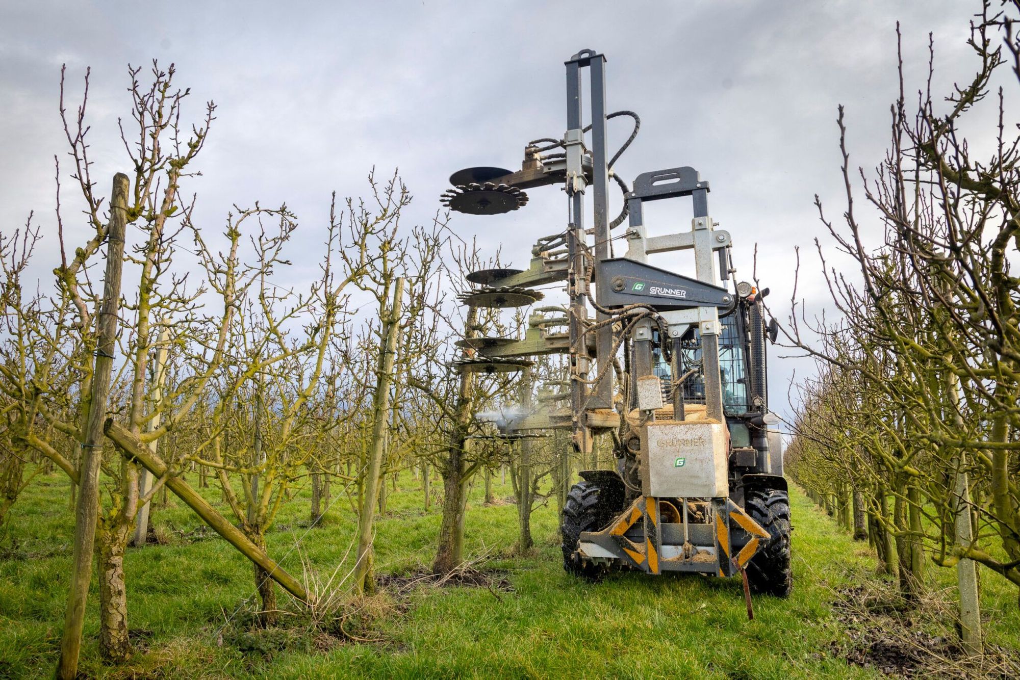 Vooruitkijkend vraagt de sector om ruimte voor pilots met precisieteelt, digitalisering en nieuwe gewasbeschermingsstrategieën. Foto: Koos Groenewold