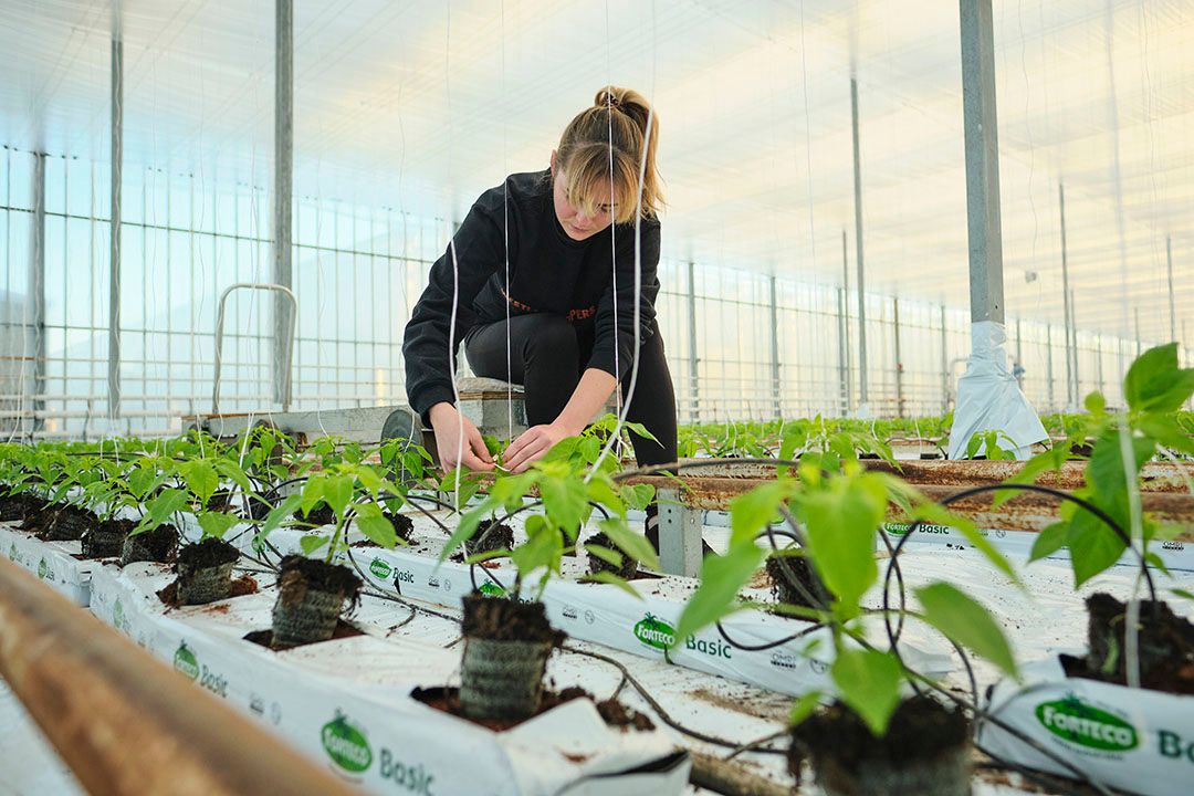 Foto: Roel Dijkstra