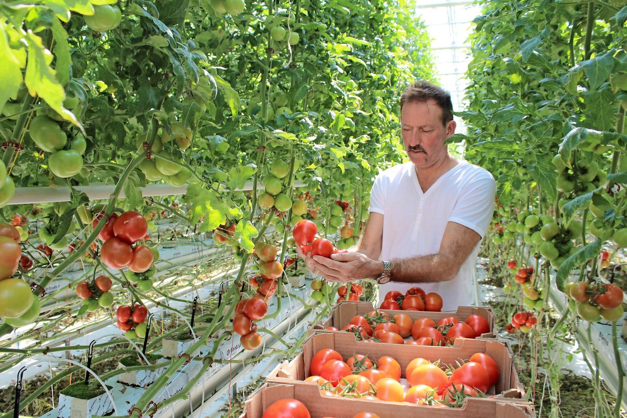 Kees Kranenburg, teler in Kazachstan. - Foto: Kees Kranenburg