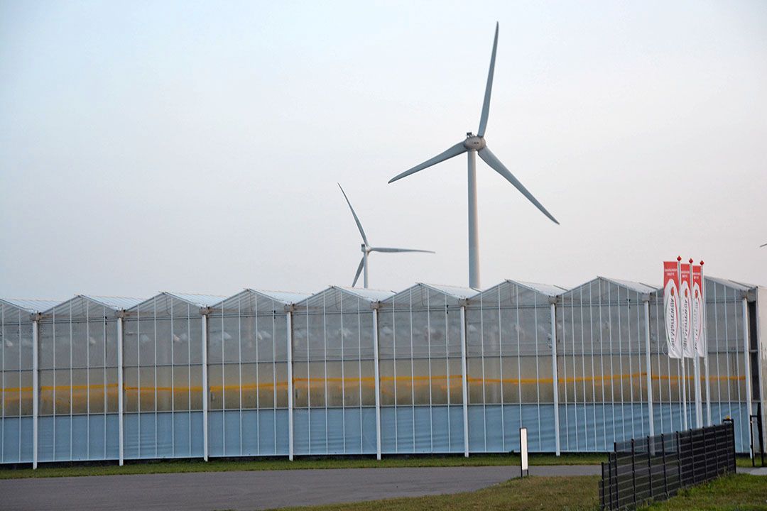 Glastuinbouw in Nieuw-Prinsenland. - Foto: Peter Visser.