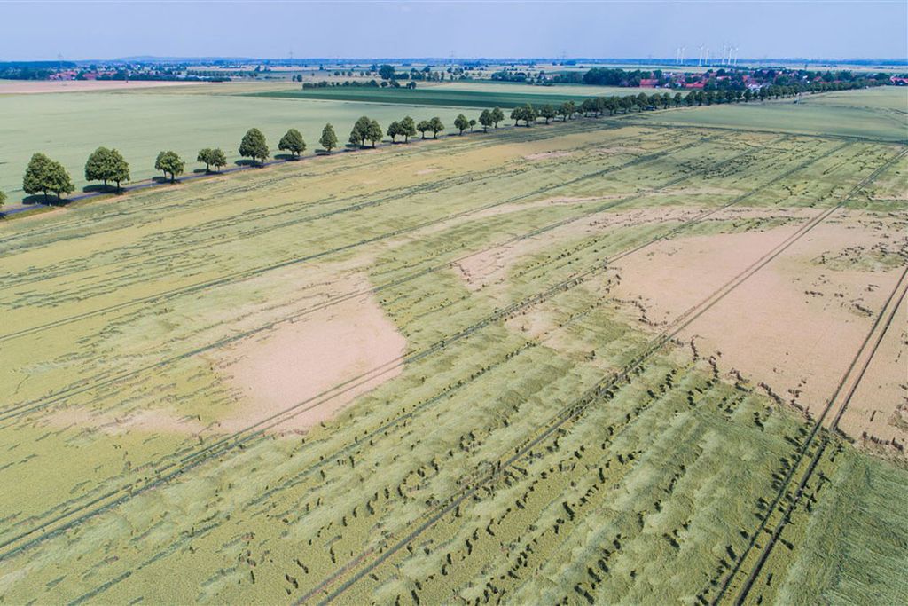 Buien met hevige wind, hagel en neerslag veroorzaakten in juli schade aan gewassen in Duitsland. - Foto: ANP