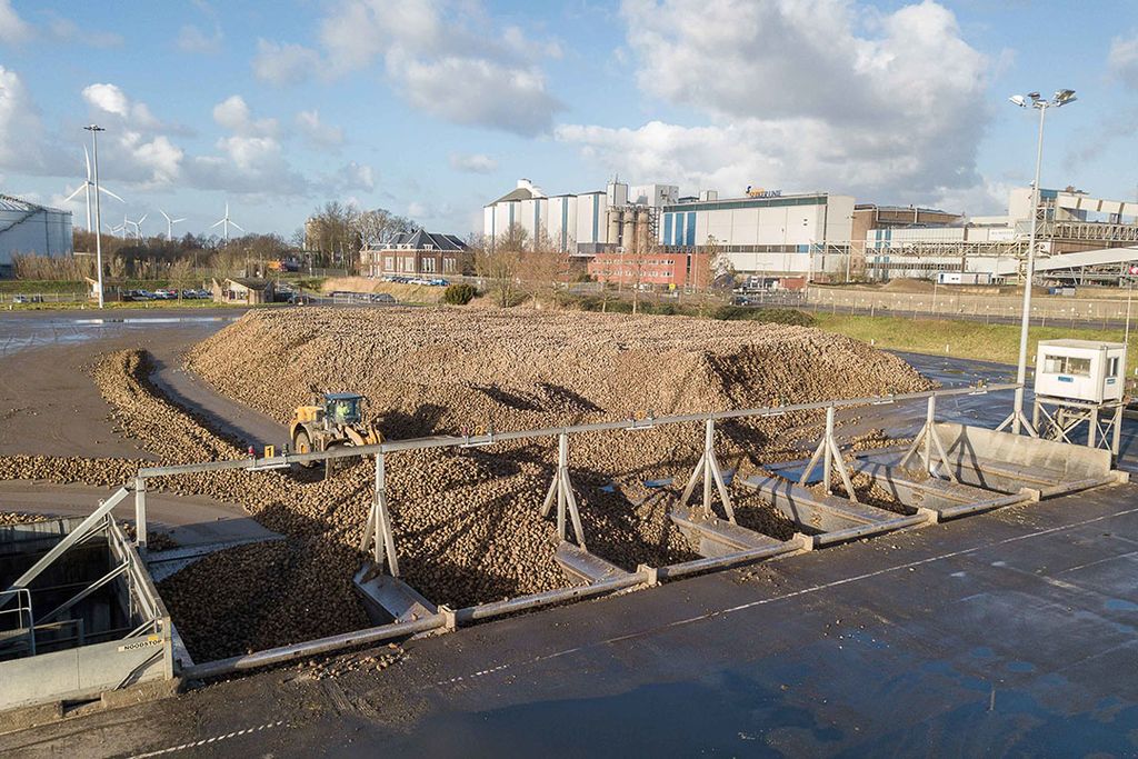 Suikerbieten bij de fabriek van Suiker Unie in Dinteloord. - Foto: Peter Roek