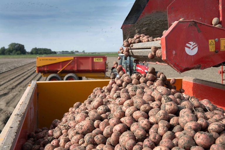 Natuurmonumenten, Dierenbescherming en Vogelbescherming Nederland willen dat boeren een goede prijs krijgen voor duurzame productie. - Foto: Mark Pasveer