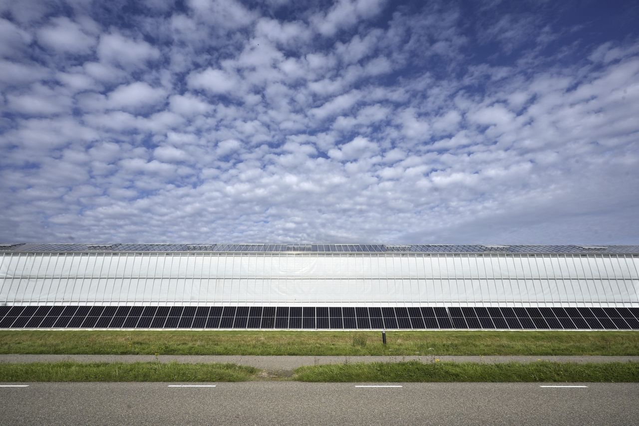 De elektriciteit wordt opgewekt door zonnepanelen op een plas water en tegen de kas.
Foto: ANP