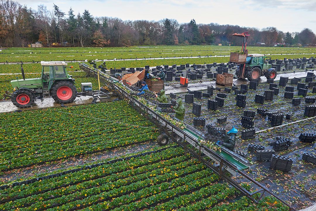 Foto: Wouter van Assendelft