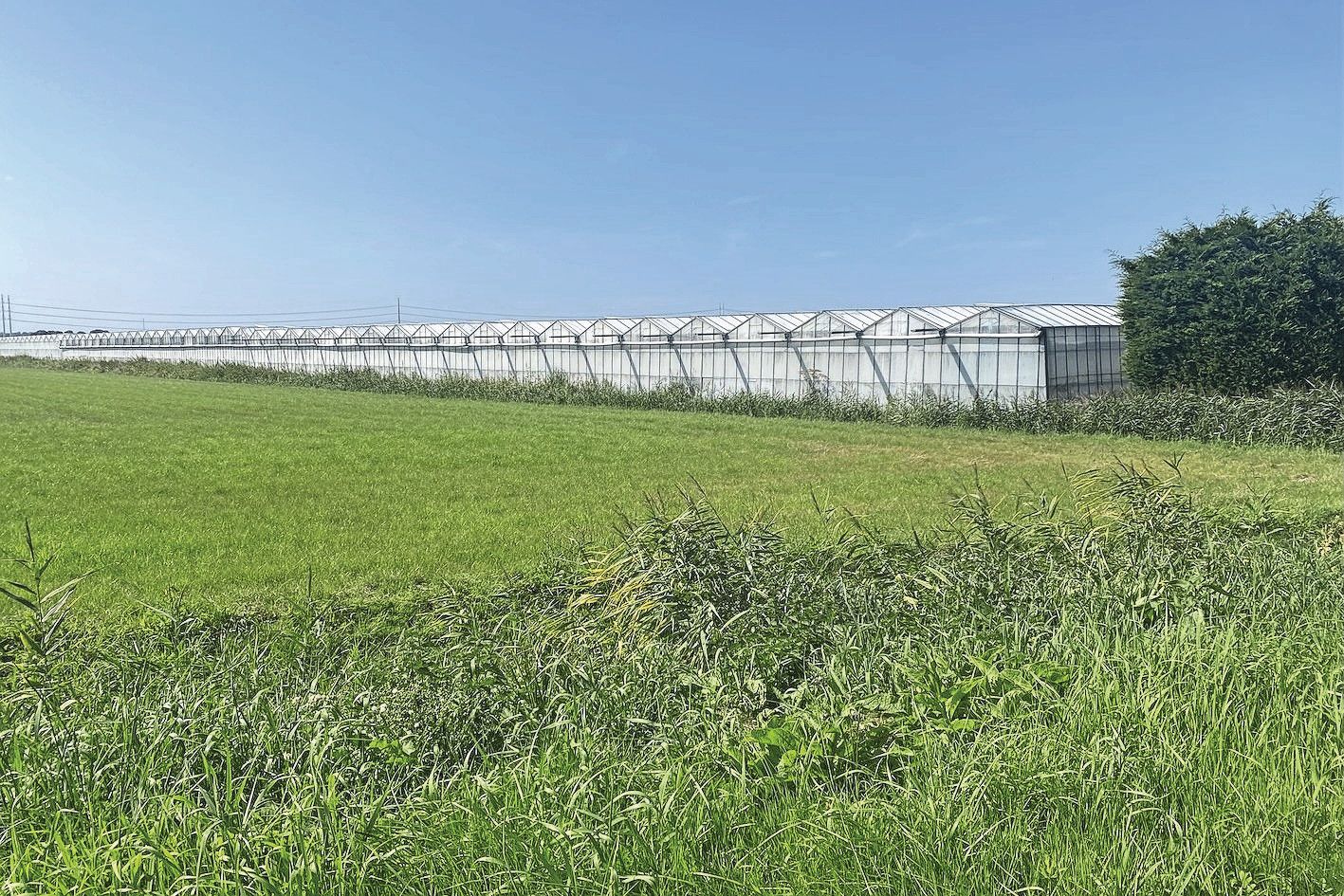 Kassen in De Wilde Veenen, Moerkapelle-Noord. Foto: Arie Frans Middelburg