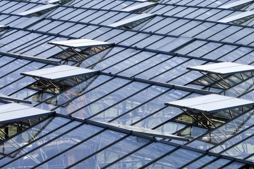 &apos;Tuinbouw teveel in verdediging door aanpak Greenpeace&apos;