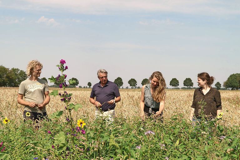 Initiatiefnemers van het Graanschap Arjen Verschure, Johan Pater, Alice den Boer en Eva Jansen. Na jaren voorbereiding is het eerste brood van eigen oogst te koop. - Foto: Studio Letsch & de Clerq