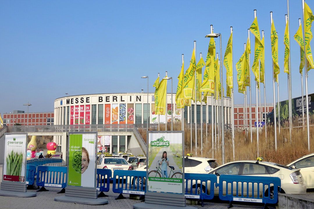 Foto: Ton van der Scheer