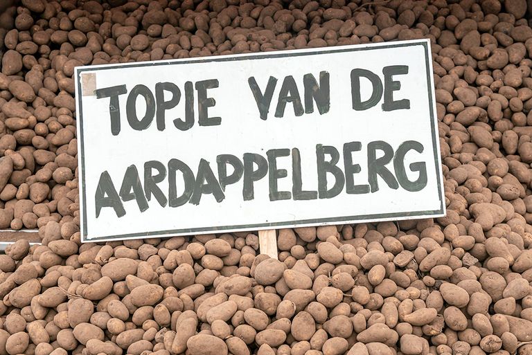 Aardappelen die niets opleveren, worden wat betreft Agractie verleden tijd. - Foto: ANP