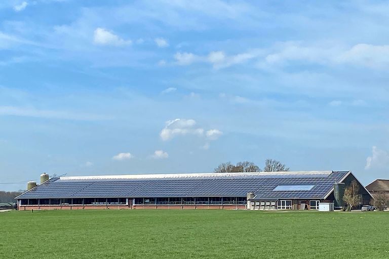 Het melkveebedrijf van Kees Koolen in Laag-Keppel, waar Vreba Melkvee tot voor kort zo'n 300 koeien had staan. Foto: Erik van Aalst