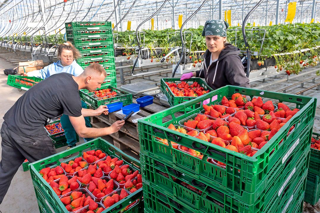 arbeidsmarktcampagne land- en tuinbouw