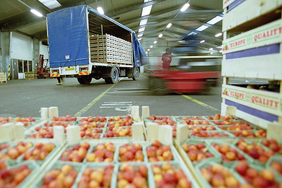 Archieffoto fruitveiling jaren negentig bij Fruitveiling Ochten, dat opging in FruitMasters. Foto: WFA/vp/str.VidiPhoto