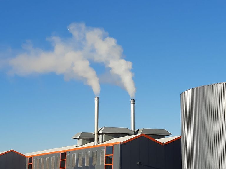 Glastuinders met een gespreid gasinkoopbeleid doorstaan de energiecrisis beter dan gevreesd. - foto: Harry Stijger