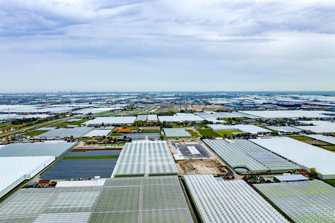 Foto: ANP / Hollandse Hoogte / Robin Utrecht