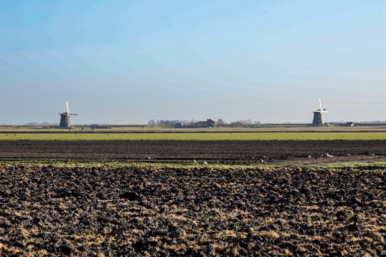 Sinds dinsdag 15 oktober kunnen bedrijven de definitieve aanvraag doen voor de GLB-subsidies. Foto: Marcel Rob Fotografie