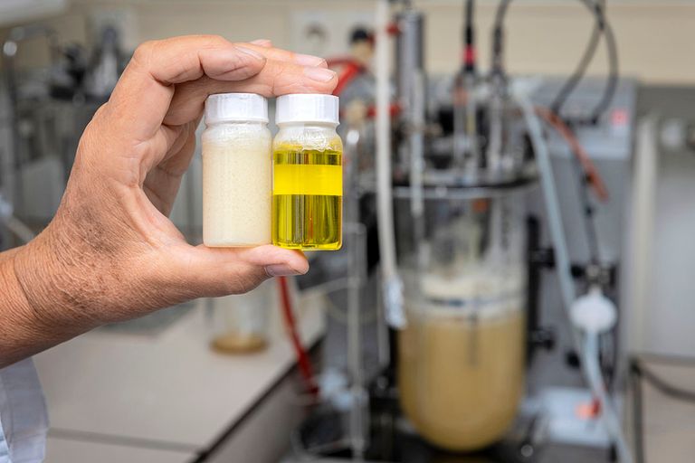 De kennis over het fermentatieproces bevond zich in een laboratoriumfase. NoPalm Ingredients wil dit proces nu op industriële schaal toepassen. - Foto's: Koos Groenewold