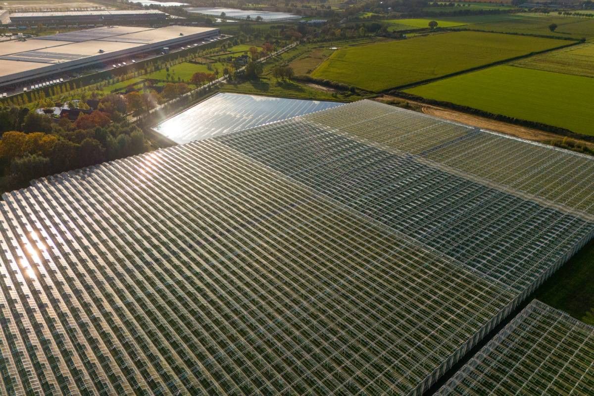 Groen gas kan plek krijgen in energiemix glastuinbouw. Foto: Bert Jansen