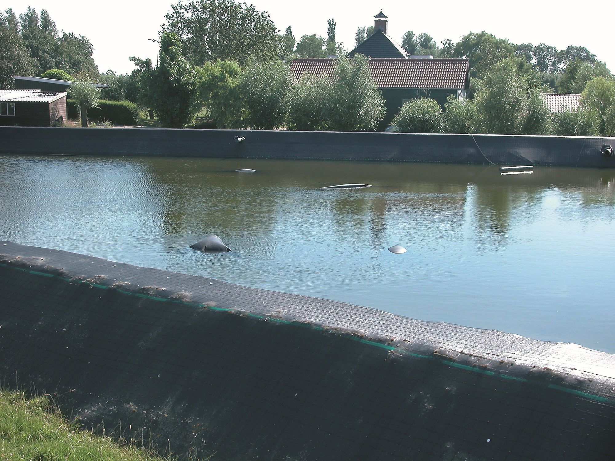Glastuinders weten hun waterbassins doorgaans nog redelijk goed gevuld te houden, al kan er hier en daar een luchtbel omhoog komen bij lager waterpeil. - foto: G&F