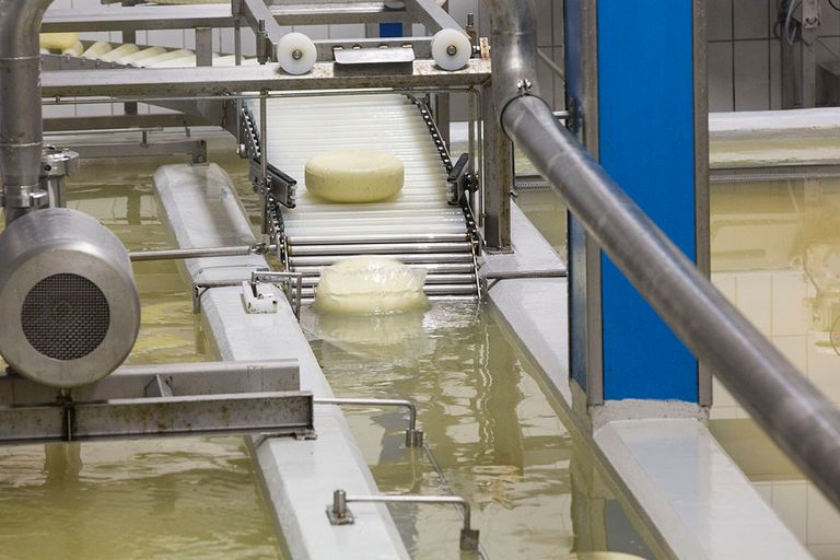 Veruit de meeste proteïne is afkomstig van melkwei, een bijproduct van de productie van kaas uit melk. Foto: Koos Groenewold
