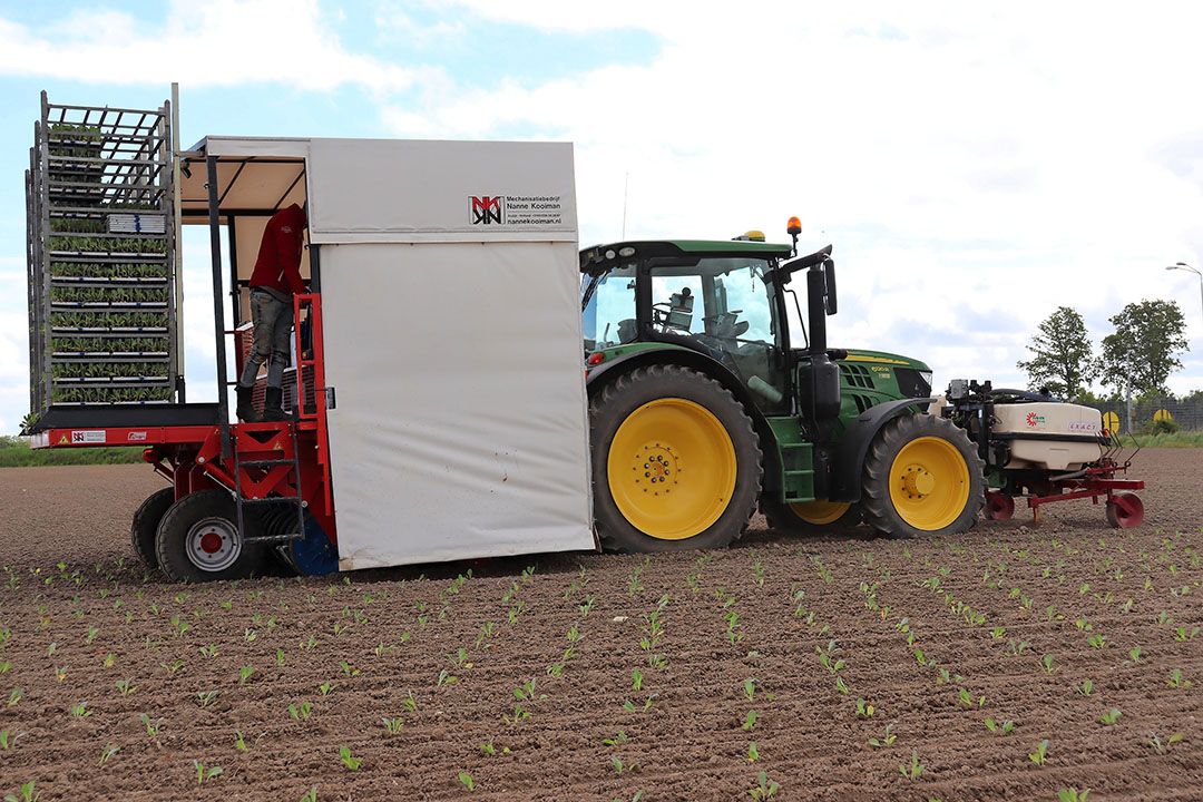 Plantmachine van Ferrari. - Foto: Joost Stallen