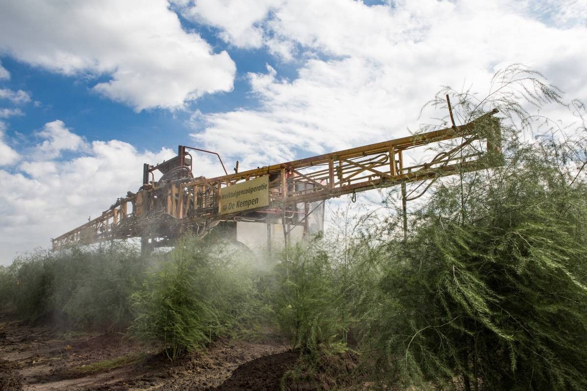 Criticasters hebben vaak ook niet het besef dat voor een fatsoenlijk voedselpakket middelen nodig zijn. – Foto: Peter Roek