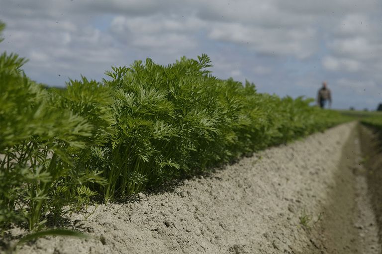 klimaatwinst biologisch