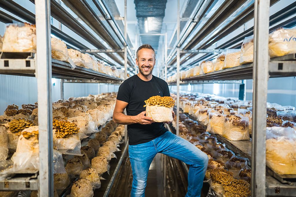 Maurice Koppen, directeur en mede-eigenaar van Oakfield Champignons, rolde als jong ventje al deze business in. - Foto: Thom Alblas