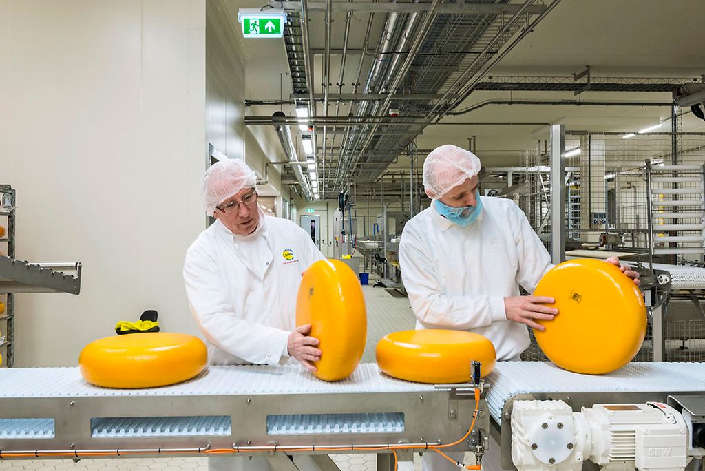 Archiefbeeld van controle van kazen bij Cono. In de gehele agrifoodketen blijft er vraag naar personeel. Door de trends in de sector veranderen de vaardigheden van (nieuwe) medewerkers wel. - Foto: ANP