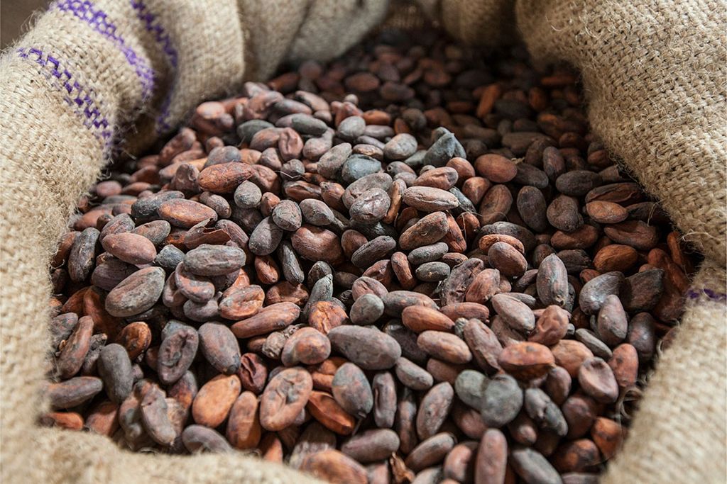 Bepaalde grondstoffen zoals cacao en koffie kunnen niet dichterbij ingekocht kunnen worden. Foto: Canva