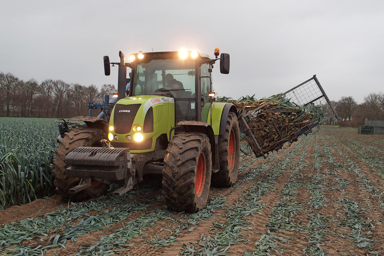 Meer dan 3 miljard kilo Vollegrondsgroenten